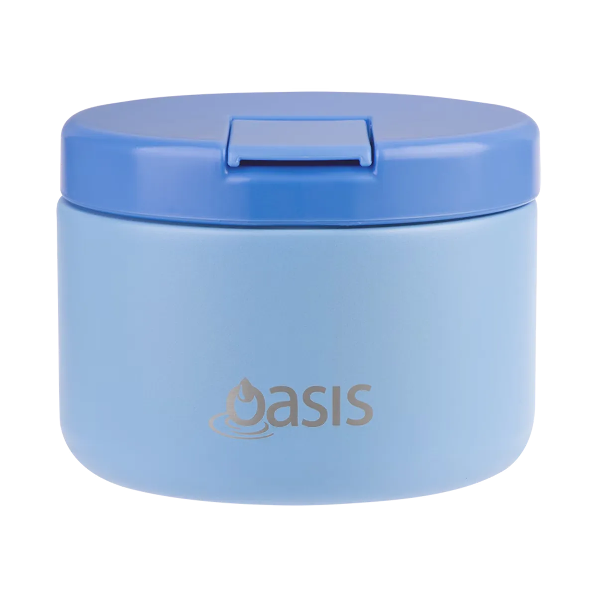 Double Wall Insulated Food Flask 300ml (Blue)