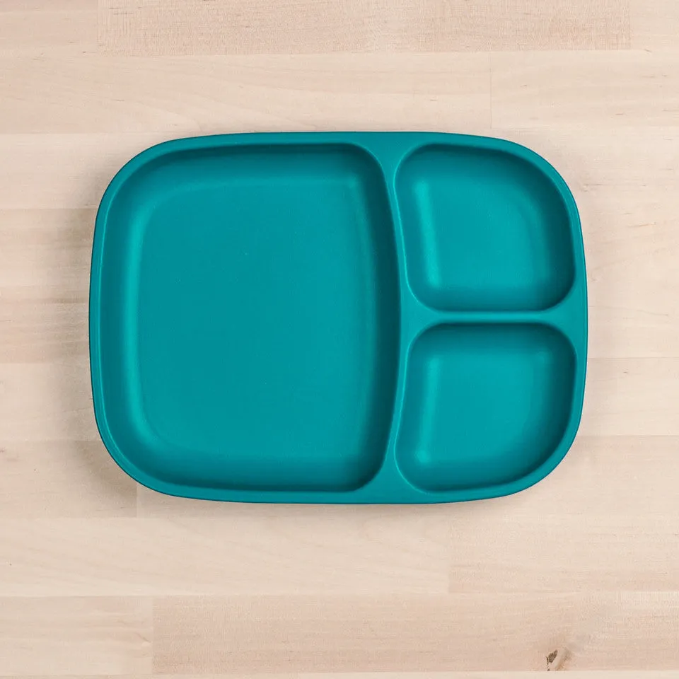 Large Divided Tray