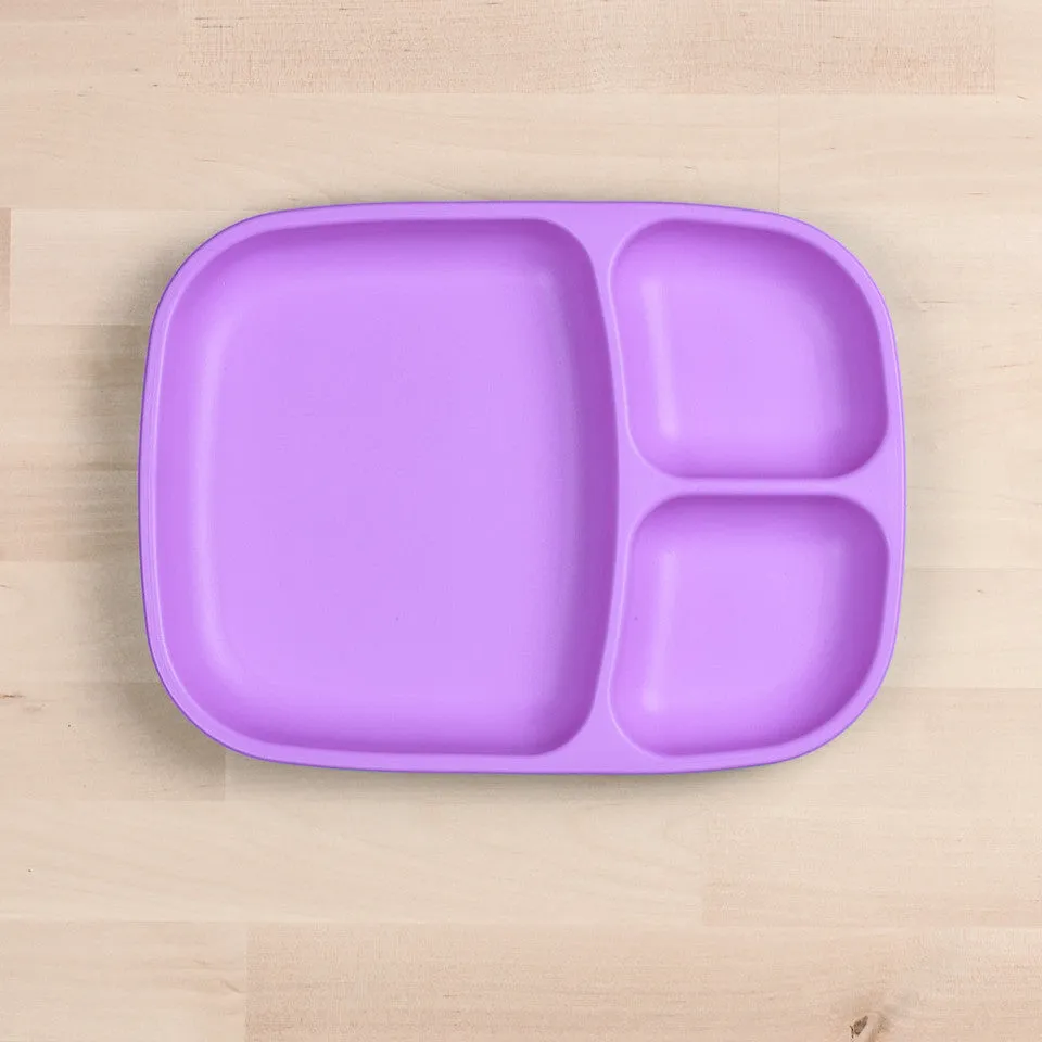 Large Divided Tray