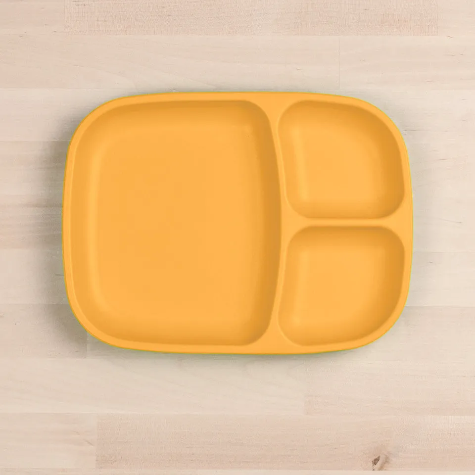 Large Divided Tray