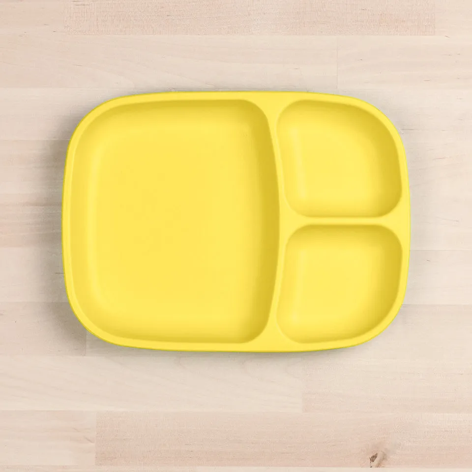 Large Divided Tray