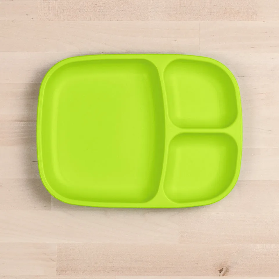 Large Divided Tray