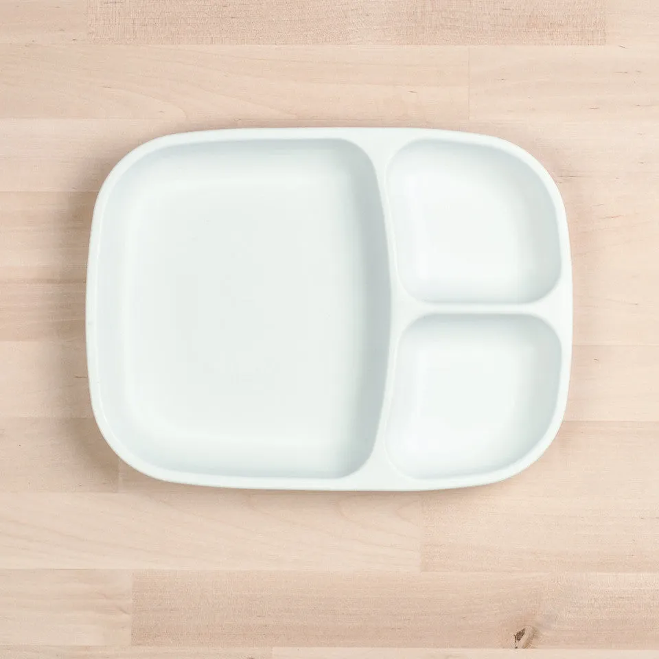 Large Divided Tray