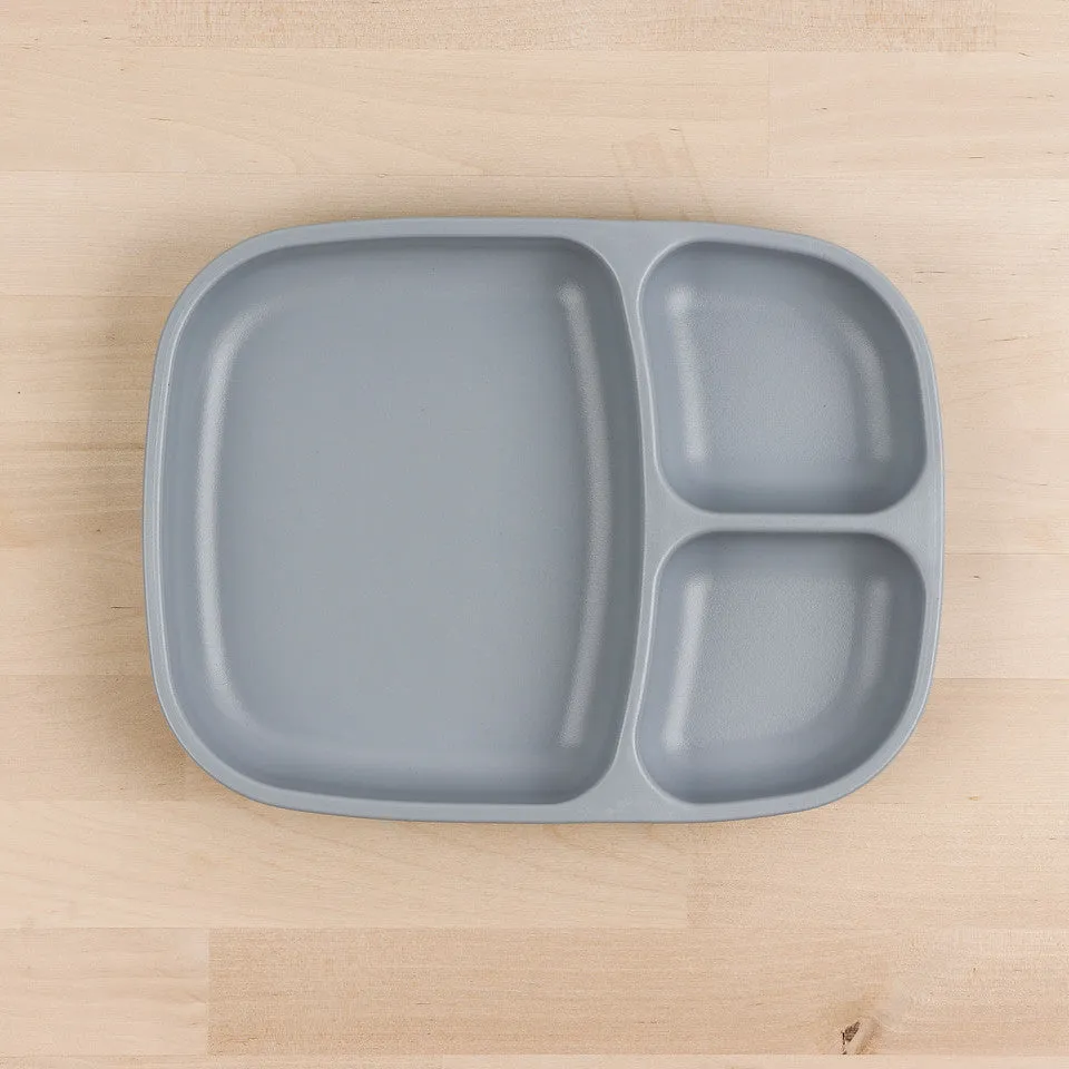 Large Divided Tray