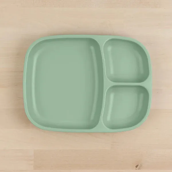 Large Divided Tray