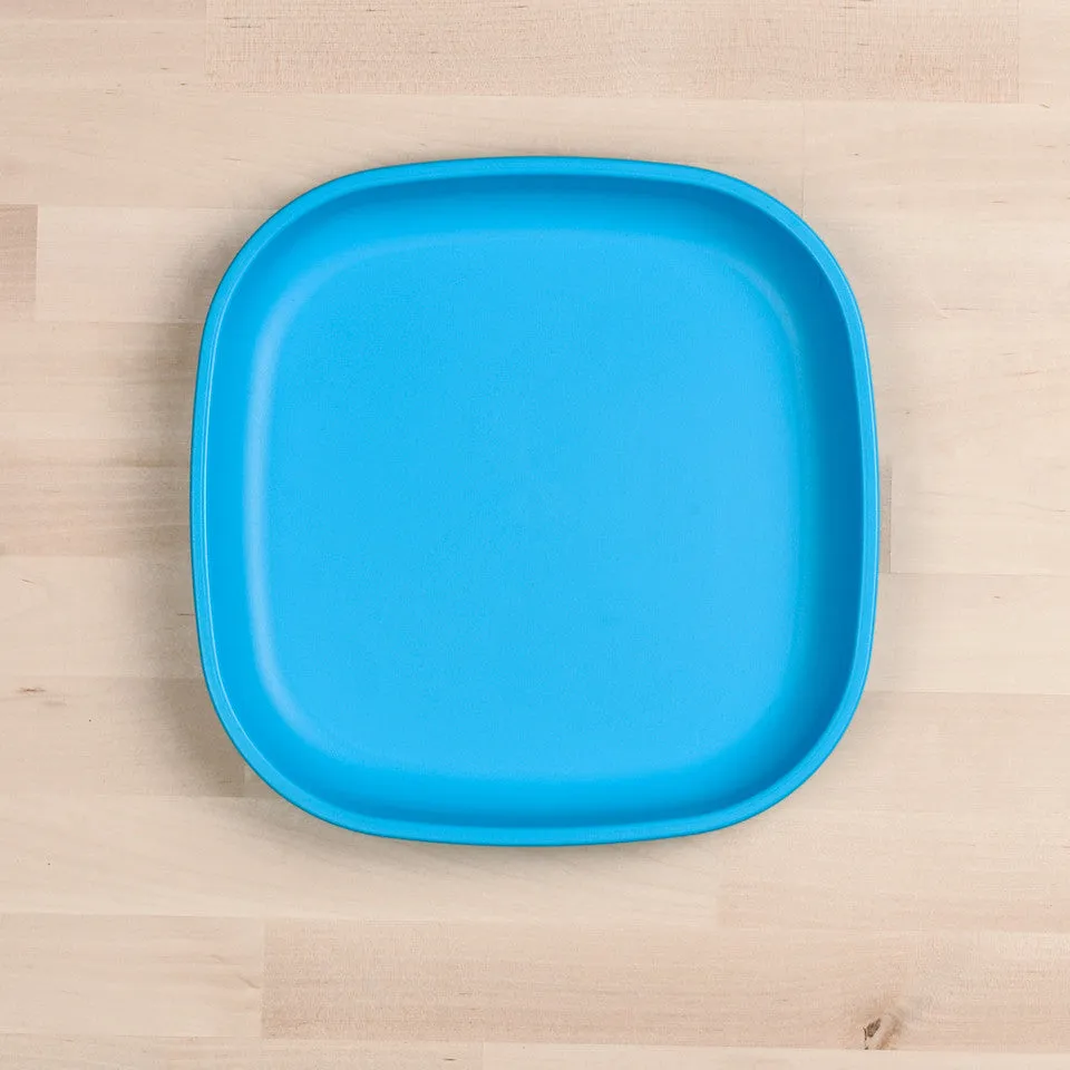 Large Flat Plate (9"/23cm)