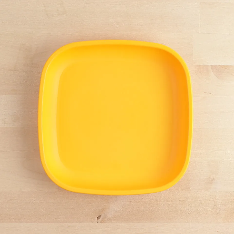 Large Flat Plate (9"/23cm)
