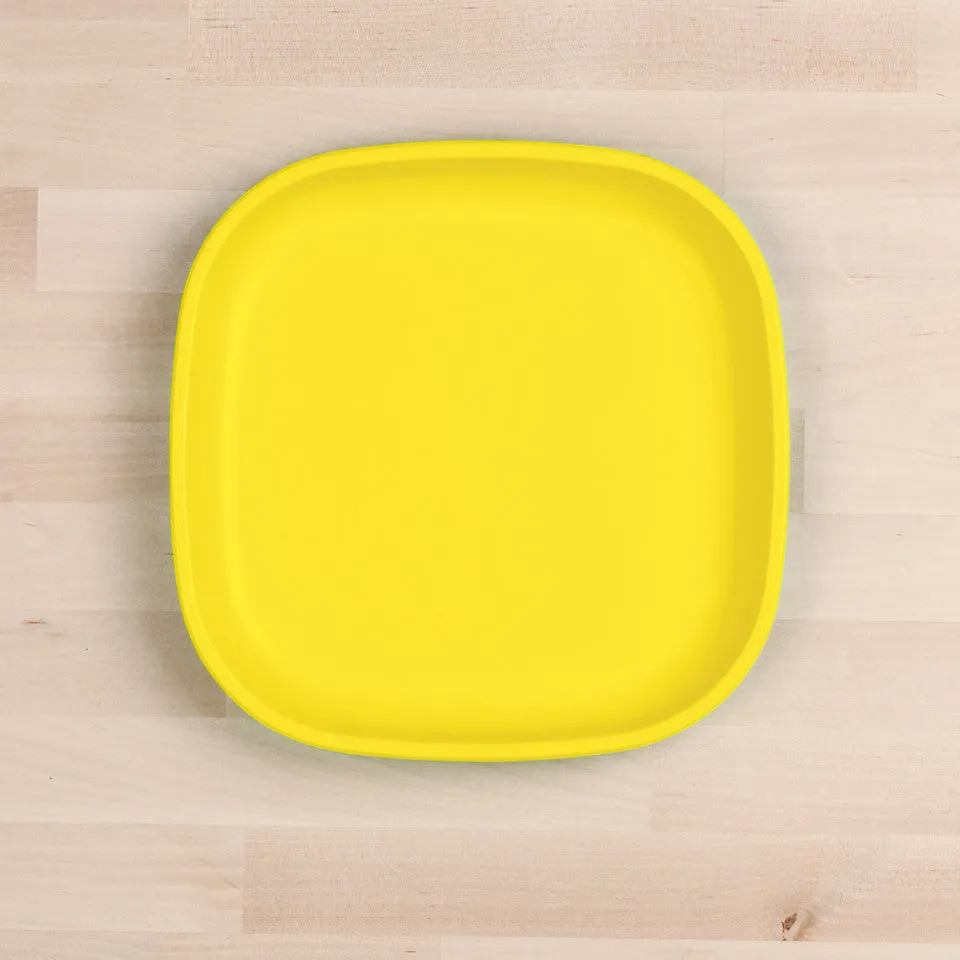 Large Flat Plate (9"/23cm)