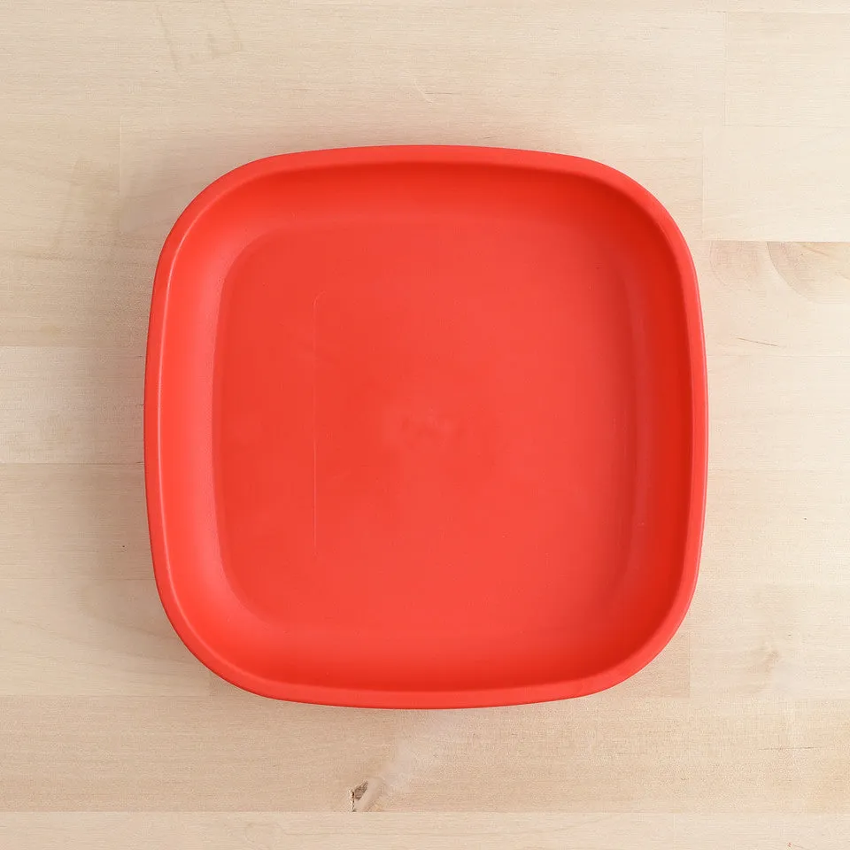 Large Flat Plate (9"/23cm)