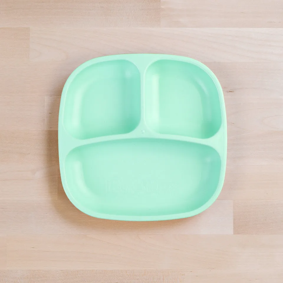 Small Divided Plate