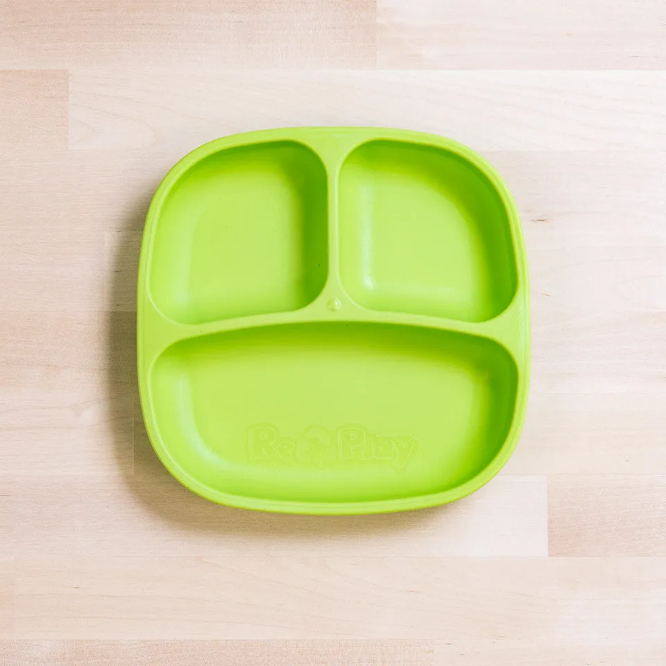 Small Divided Plate