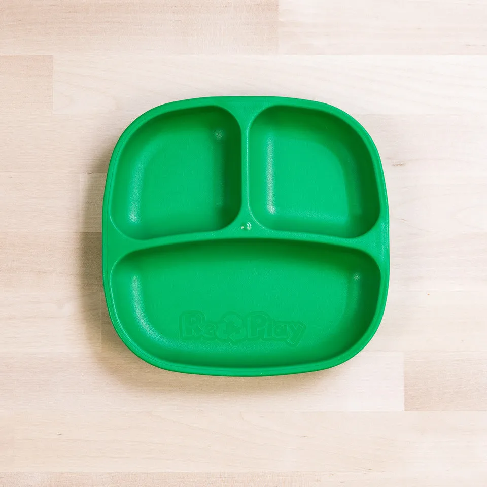 Small Divided Plate