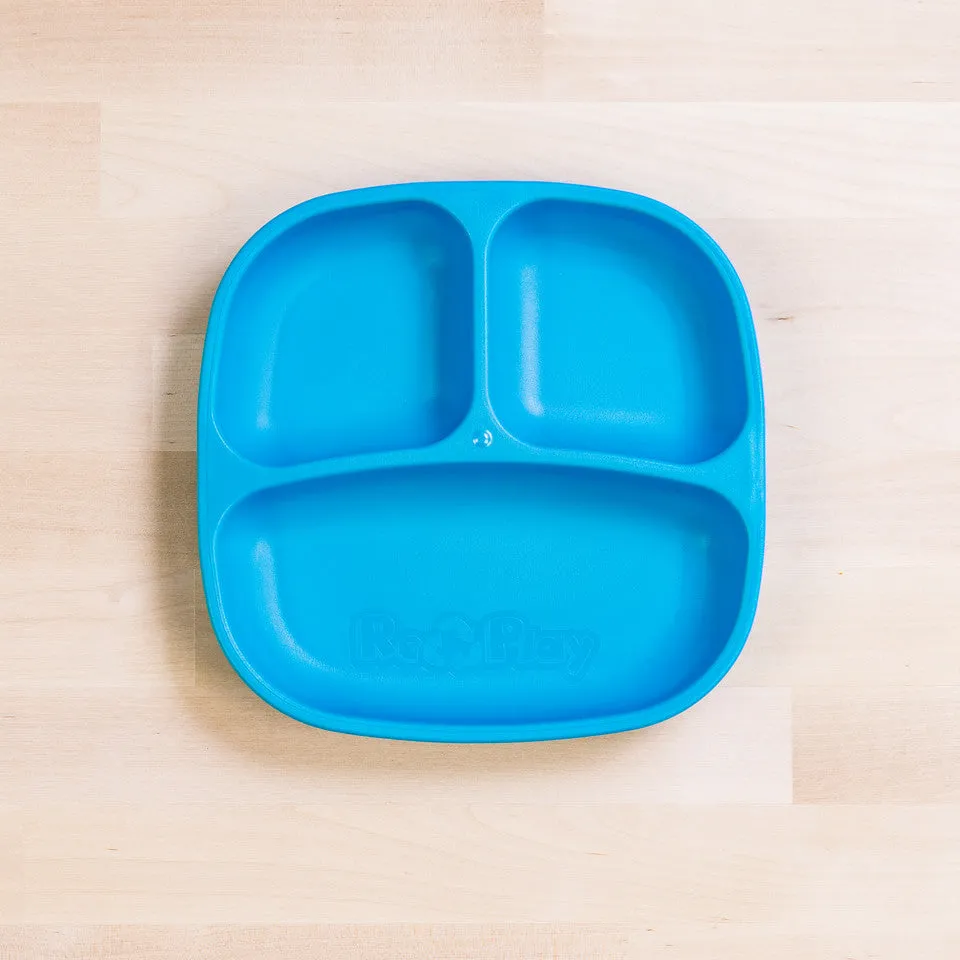 Small Divided Plate