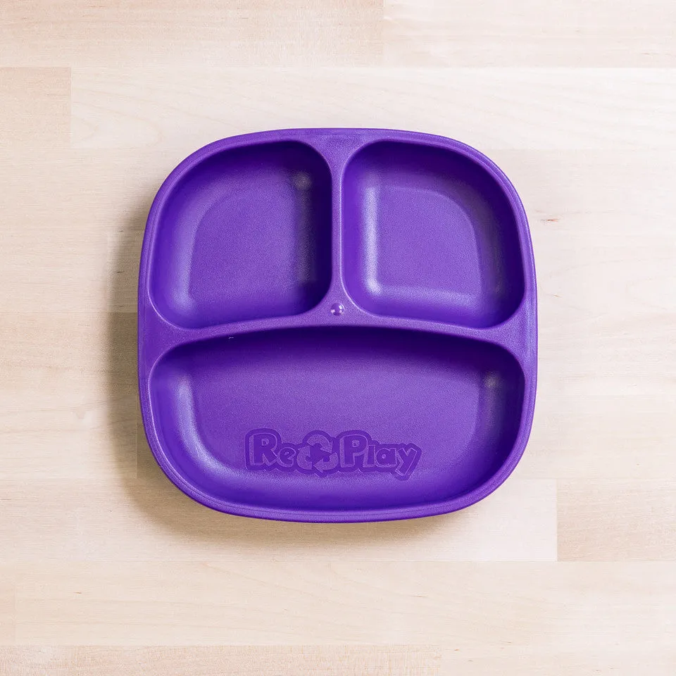 Small Divided Plate