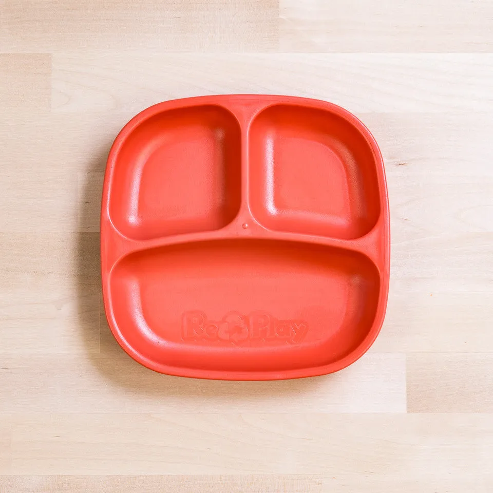 Small Divided Plate