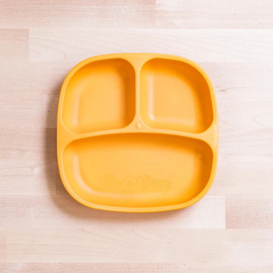 Small Divided Plate