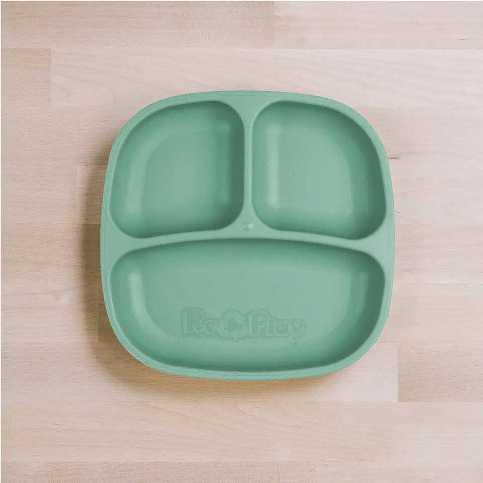 Small Divided Plate