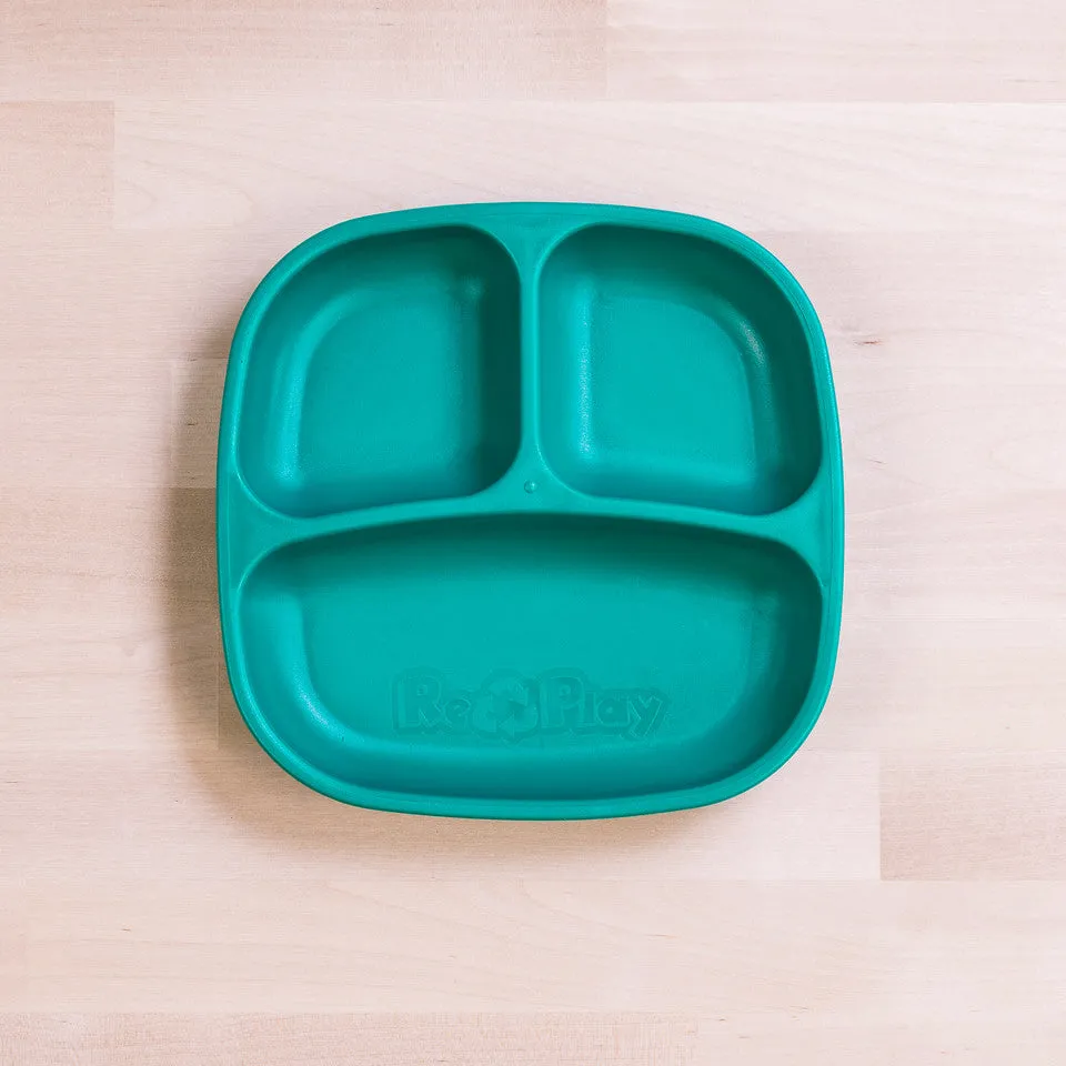 Small Divided Plate