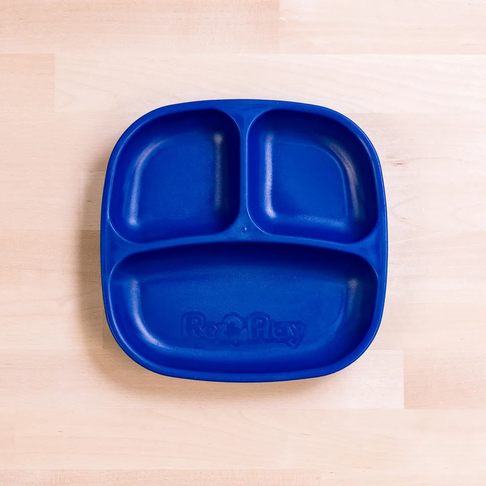 Small Divided Plate