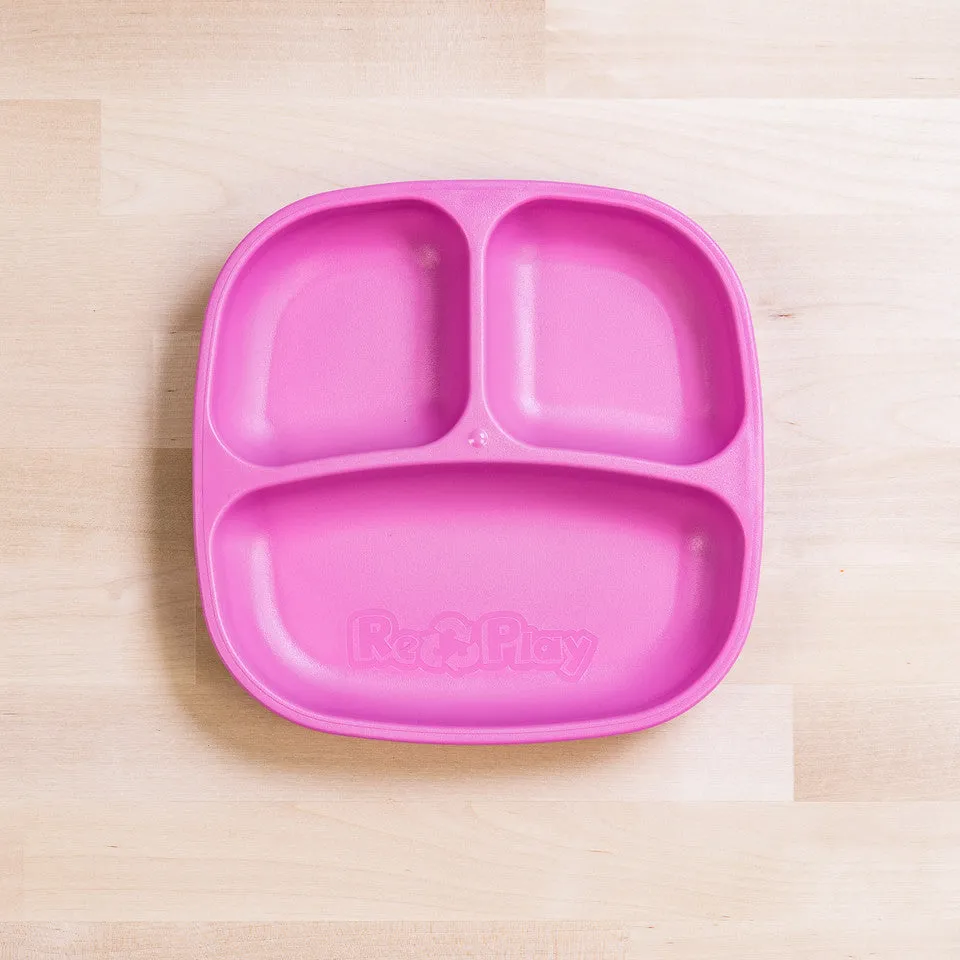 Small Divided Plate